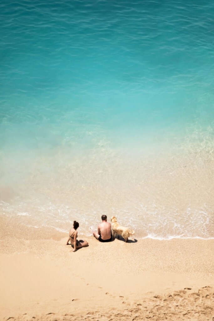 Two people and a dog tanning